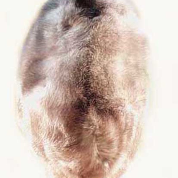 MINK HAT, TAG ON, LADIES MEDIUM, LIGHT GREY, NO BRIM, SATIN LINING WITH INSULATI - Picture 3 of 3